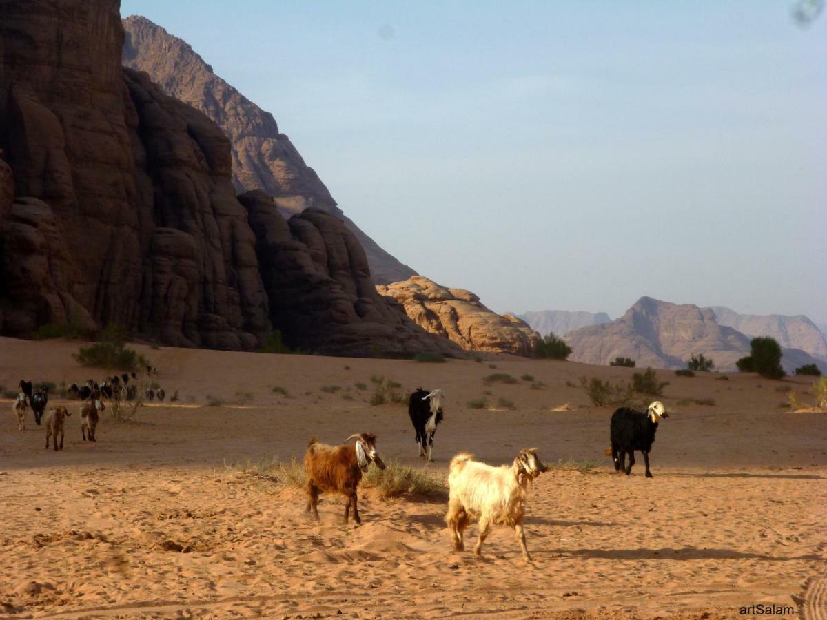 Hotel Sunrise camp à Wadi Rum Extérieur photo