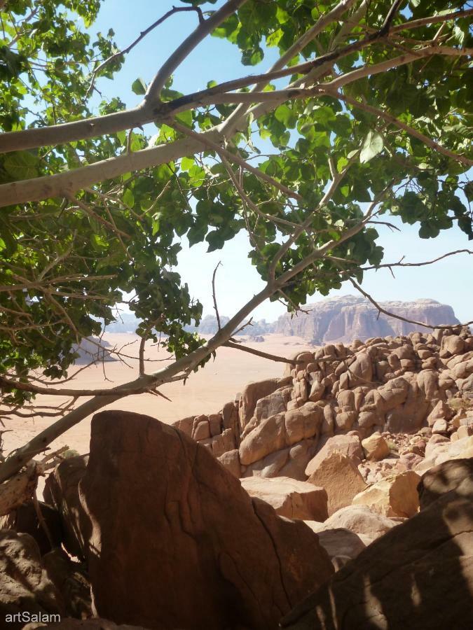 Hotel Sunrise camp à Wadi Rum Extérieur photo