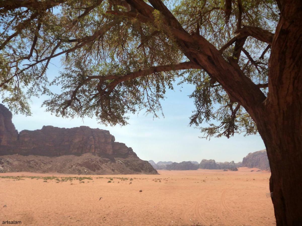 Hotel Sunrise camp à Wadi Rum Extérieur photo