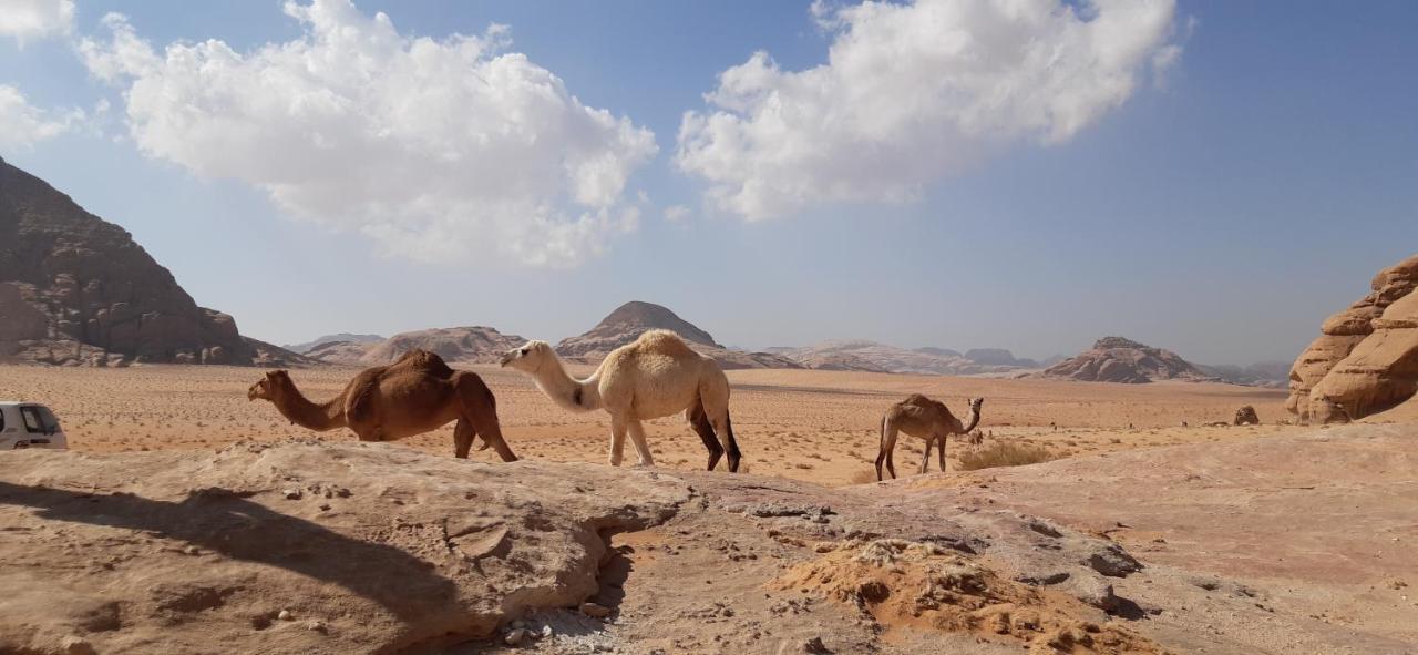 Hotel Sunrise camp à Wadi Rum Extérieur photo