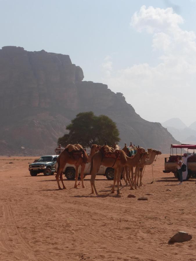 Hotel Sunrise camp à Wadi Rum Extérieur photo